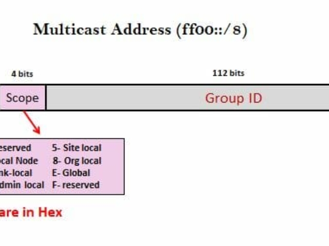 IPv6 Multicast Address