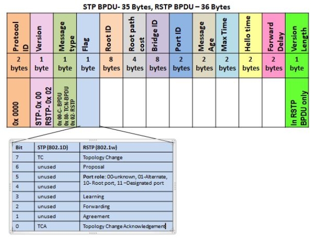 STP vs RSTP BPDU