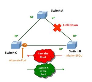 Different Types Of Spanning Tree Protocol - Explore Networkhope.in