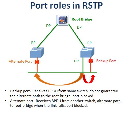 Types of spanning tree protocol: RSTP