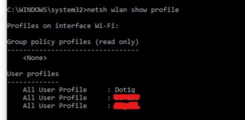 netsh wlan show profile